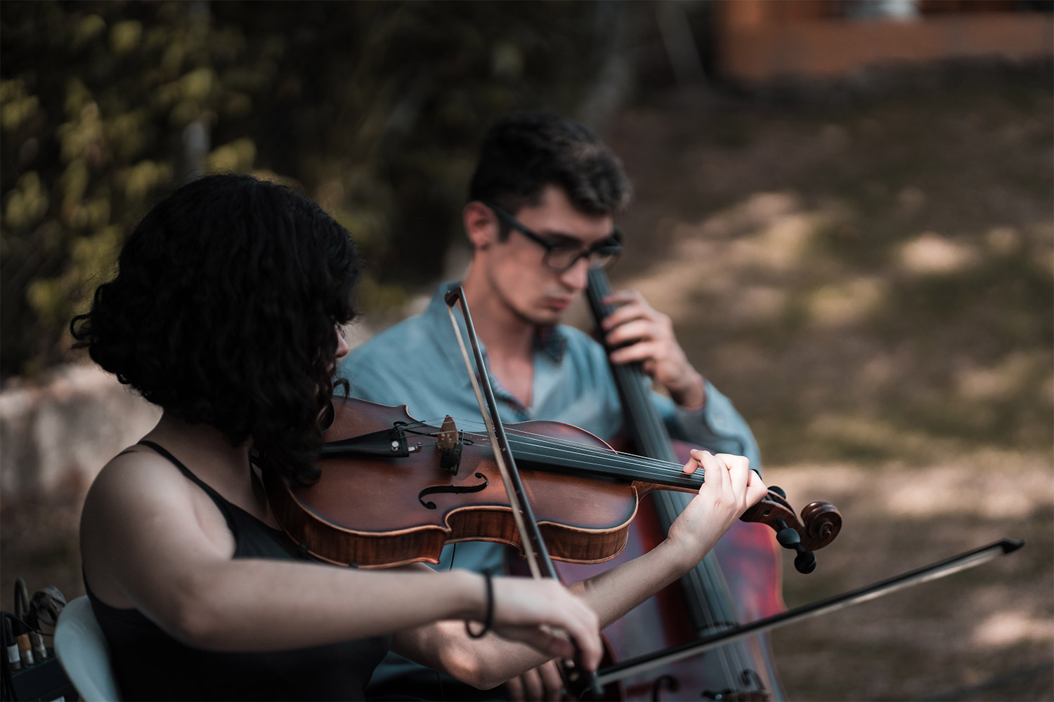 Professeur de violon